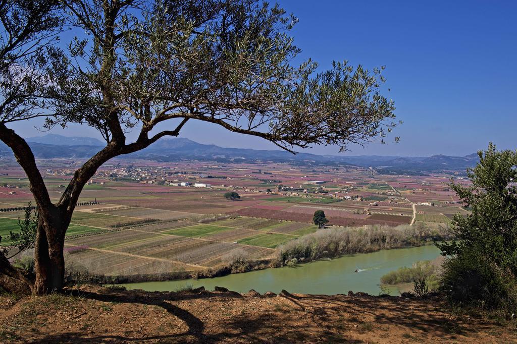 Ca La Maria Apartamento Mora d'Ebre Exterior foto